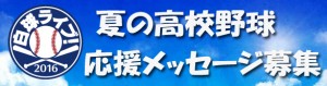 白球　スマホ