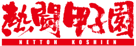 熱闘甲子園2019